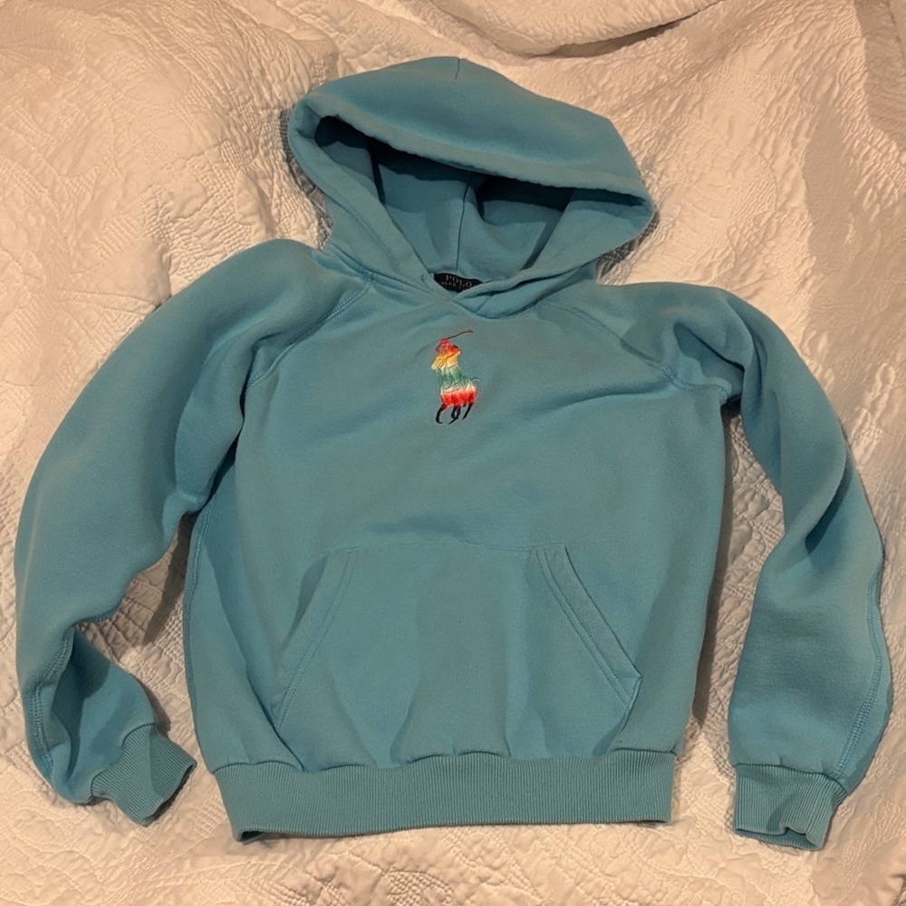 Polo Ralph Lauren Kids Aqua Hoodie with Colorful polo big pony Embroidery - Picture 2 of 6